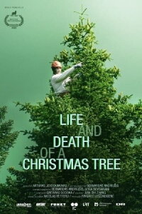 Life and Death of a Christmas Tree (2024)