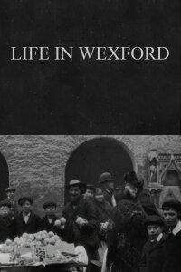 Life in Wexford (1902)