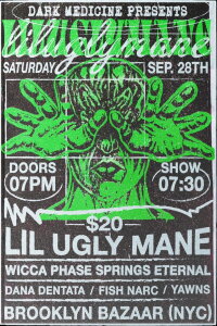 Lil Ugly Mane Live in Brooklyn NY (2019)