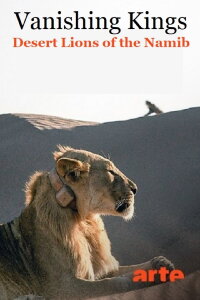 Lions de Namibie, les rois du désert (2015)