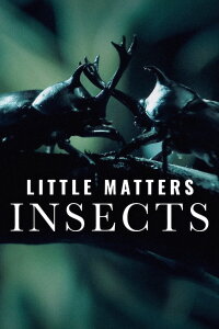 Little Matters: Insects (2015)