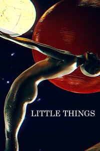 Little Things (2016)