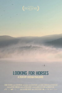 Looking for Horses (2021)