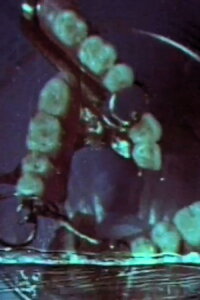 Macrozoom (1968)