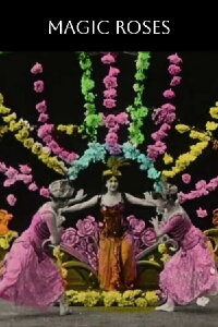 Magic Roses (1906)