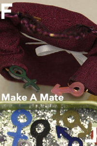 Make a Mate (2009)