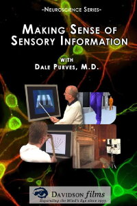 Making Sense of Sensory Information (2013)