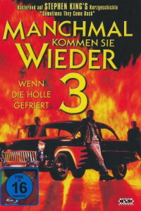 Manchmal kommen sie wieder 3 (1998)