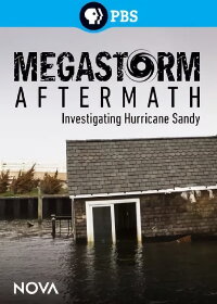 Megastorm Aftermath (2013)