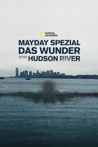 Miracle Landing on the Hudson (2014)