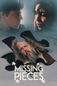 Missing Pieces (2012)