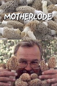 Motherlode (2002)