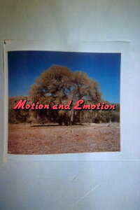 Motion and Emotion: The Road to Paris, Texas (1990)