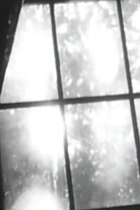 Mountain Cat (1980)