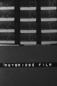 Muybridge Film (1975)