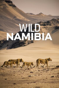 Namibia - Flüsse Aus Sand (2013)