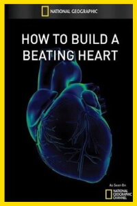 National Geographic: How to Build A Beating Heart (2011)
