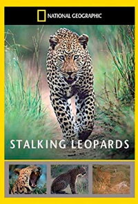 National Geographic: Stalking Leopards (2002)