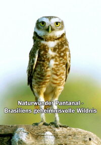 Naturwunder Pantanal - Brasiliens geheimnisvolle Wildnis (2021)