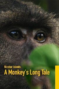 Nicobar Islands: A Monkey's Long Tale (2024)