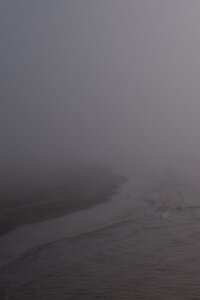 Niebla (2017)