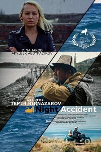Night Accident (2017)