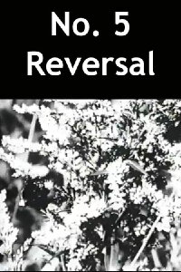 No. 5 Reversal (1989)