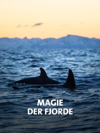 NORWAY´S MAGICAL FJORDS (2020)