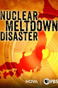 Nuclear Meltdown Disaster (2015)