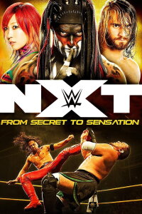 NXT: From Secret to Sensation (2017)