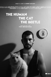 O Homem O Gato O Besouro (2021)