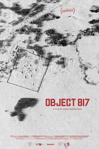 Object 817 (2024)