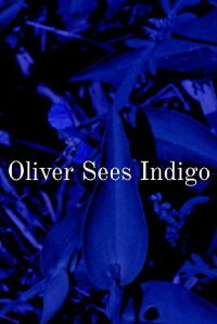 Oliver Sees Indigo (2022)
