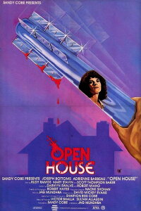 Open House - Trautes Heim kann tödlich sein (1987)