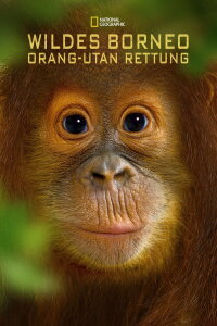 Operation Orangutan (2015)