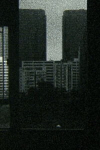 Oscillation (2020)