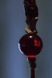 Pan 1 (1974)