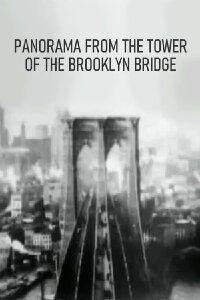 Panorama from the Tower of the Brooklyn Bridge (1899)