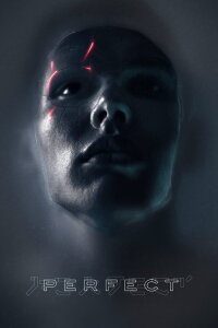 Perfect (2019)