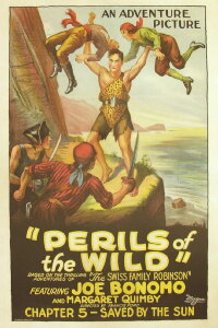 Perils of the Wild (1925)