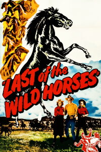 Pferdediebe am Missouri (1948)