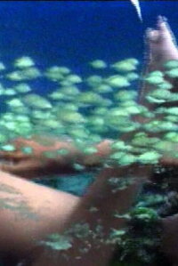 Pickelporno (1992)