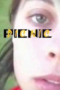 Picnic (2004)