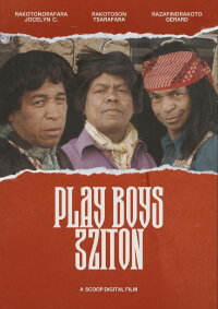 Play Boys 3 (2010)