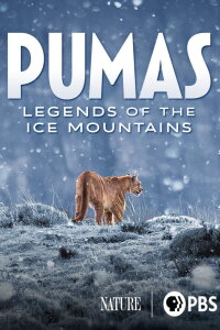 Pumas - In der Wildnis Patagoniens (2021)
