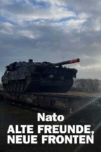 Putin, NATO, and Europe (2024)
