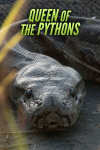 Queen of the Pythons (2019)