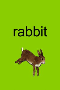 Rabbit (2005)