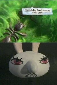 Remarkably Bold Venture Of The Rabbit (2000)