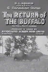 Return of the Buffalo (1938)